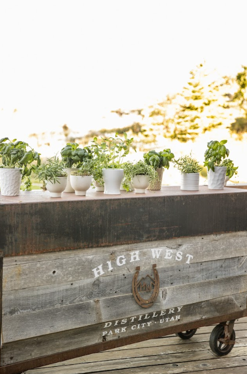 Rustic wooden bar from High West Distillery decorated with fresh herb pots