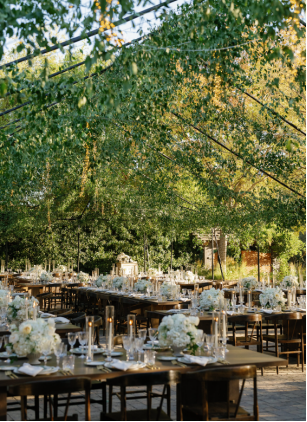Elegant outdoor wedding reception setup in Charlotte with long tables, white floral centerpieces, and candlelit glass décor under greenery.