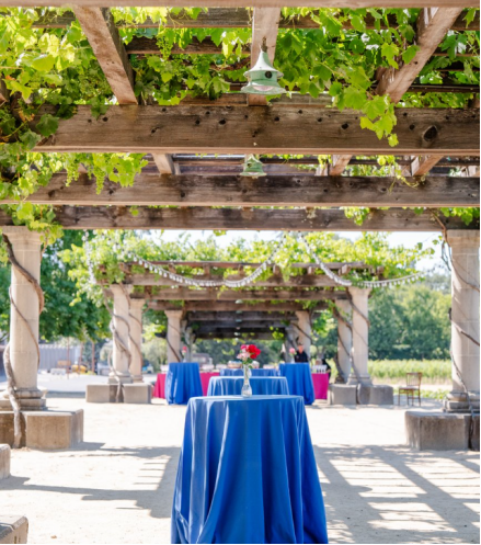 Cocktail tables with blue linens and flowers under a vineyard pergola.
