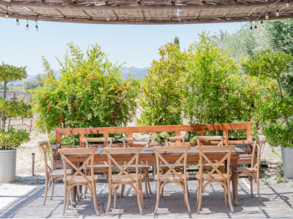 Rustic outdoor dining setup with wooden chairs and a long table under shade in a vineyard.