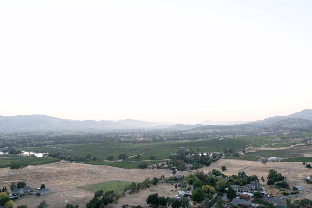 a Napa Valley wedding reception. 