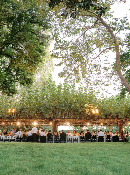 Wedding guests seated under a canopy of trees at an outdoor wedding with elegant decorations and lighting.