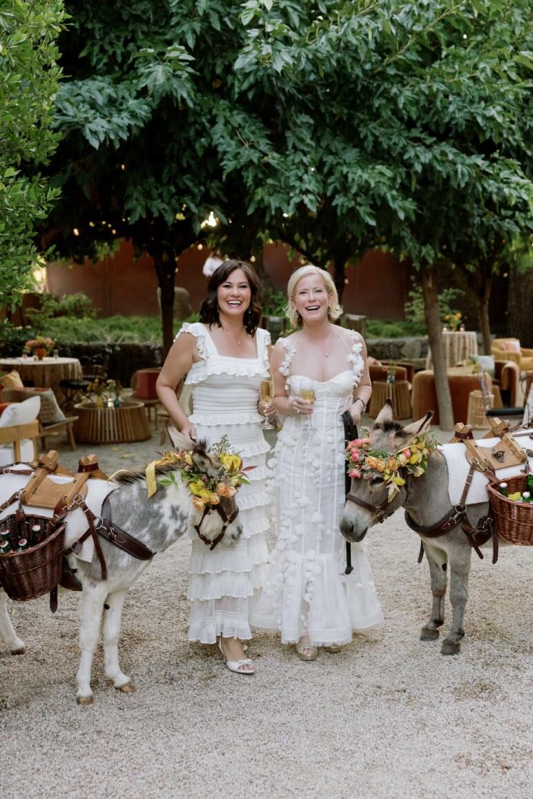 adorable pets at a wedding ceremony.