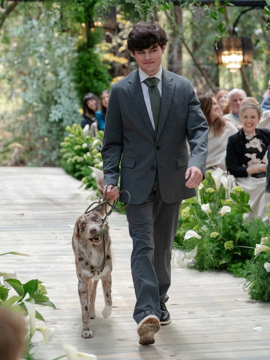 wedding guest and their dog at a wedding event.
