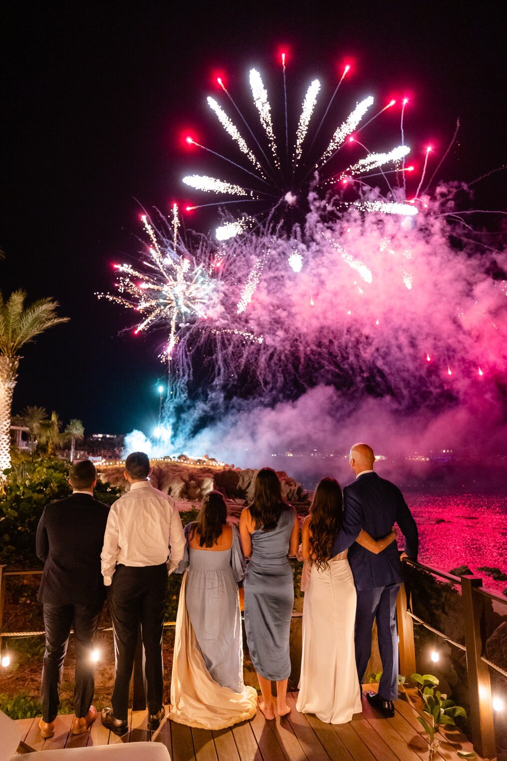 guests at a wedding looking at fireworks.
